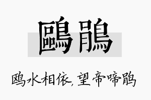 鸥鹃名字的寓意及含义