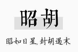 昭胡名字的寓意及含义