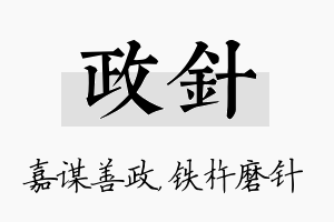 政针名字的寓意及含义