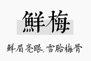 鲜梅名字的寓意及含义