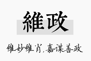 维政名字的寓意及含义