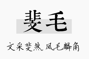 斐毛名字的寓意及含义