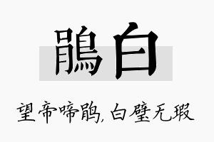 鹃白名字的寓意及含义