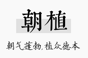 朝植名字的寓意及含义