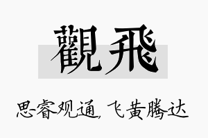 观飞名字的寓意及含义