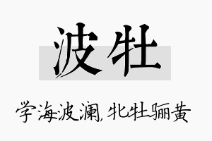 波牡名字的寓意及含义