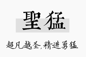 圣猛名字的寓意及含义