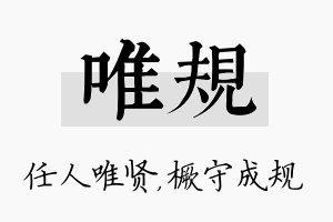 唯规名字的寓意及含义