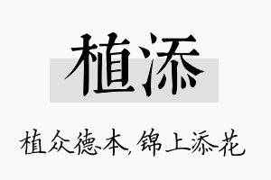 植添名字的寓意及含义