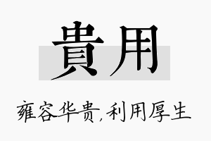 贵用名字的寓意及含义