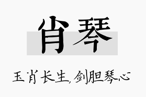 肖琴名字的寓意及含义