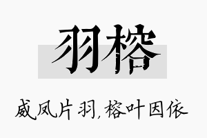 羽榕名字的寓意及含义