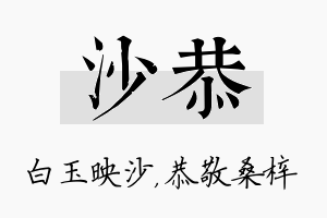 沙恭名字的寓意及含义