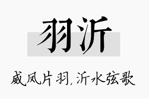 羽沂名字的寓意及含义