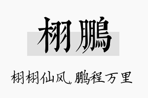 栩鹏名字的寓意及含义