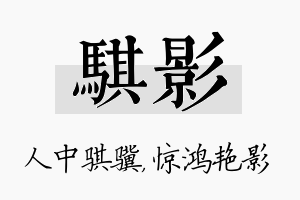 骐影名字的寓意及含义