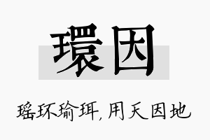 环因名字的寓意及含义