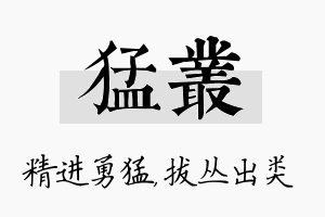 猛丛名字的寓意及含义