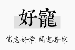 好宠名字的寓意及含义