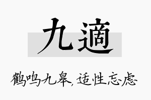 九适名字的寓意及含义