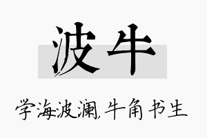 波牛名字的寓意及含义