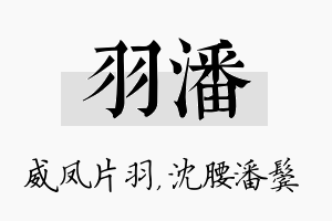 羽潘名字的寓意及含义