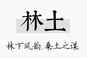 林土名字的寓意及含义