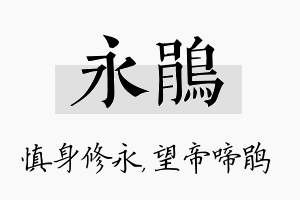 永鹃名字的寓意及含义