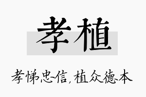 孝植名字的寓意及含义