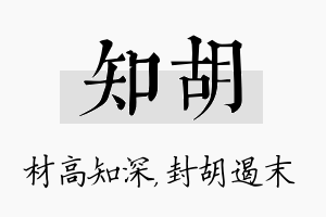 知胡名字的寓意及含义