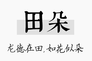 田朵名字的寓意及含义