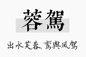 蓉驾名字的寓意及含义