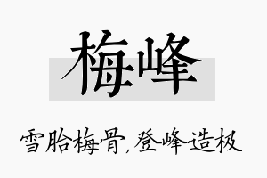 梅峰名字的寓意及含义