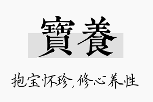 宝养名字的寓意及含义