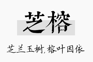 芝榕名字的寓意及含义