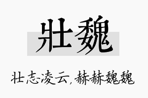 壮魏名字的寓意及含义