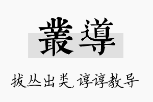 丛导名字的寓意及含义