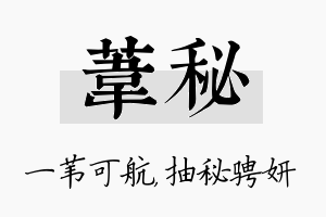 苇秘名字的寓意及含义