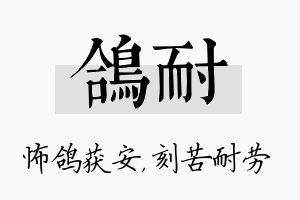 鸽耐名字的寓意及含义