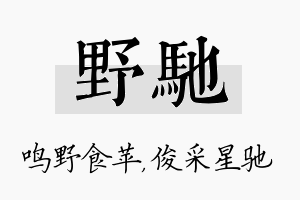 野驰名字的寓意及含义