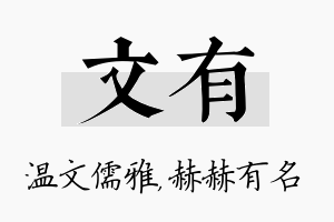 文有名字的寓意及含义