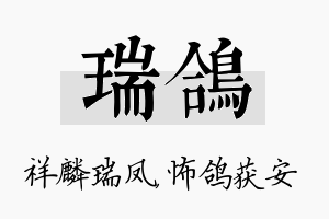 瑞鸽名字的寓意及含义