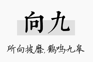 向九名字的寓意及含义