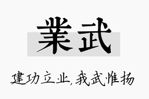 业武名字的寓意及含义