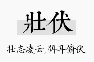 壮伏名字的寓意及含义