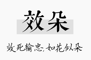 效朵名字的寓意及含义