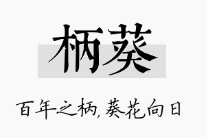 柄葵名字的寓意及含义