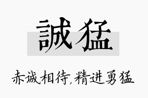 诚猛名字的寓意及含义