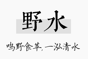 野水名字的寓意及含义