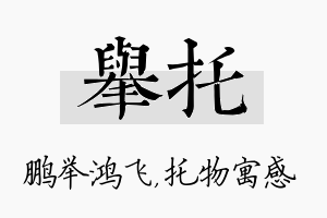 举托名字的寓意及含义